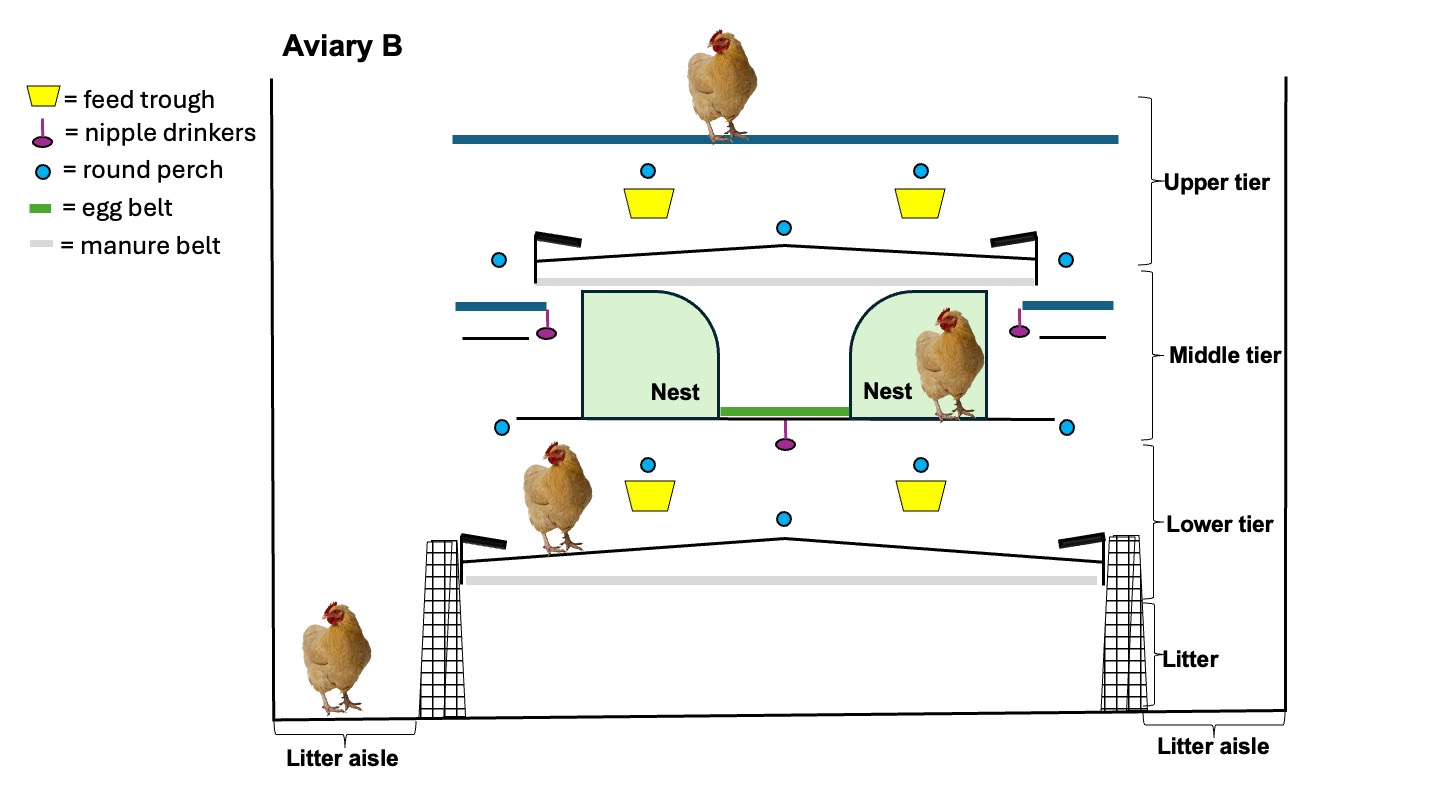 Aviary B.jpg